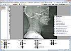 visita medica - file multimediali